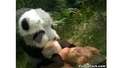 Cute teen girl fucked by panda in the forest Thumb