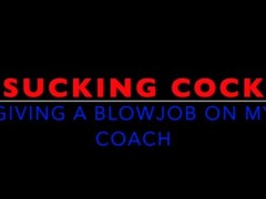 Sucking Cock - Giving a blowjob on my coach Thumb