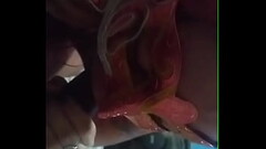 Casada safada ligou pro corno equanto chupava a piroca Thumb