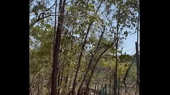Rob Venuta (aka punycunt) walks in full view down beside the bike path at side of a busy road fully nude with a boner Thumb