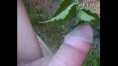 Bylting nettle 1 Thumb