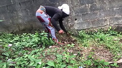 I had a good sex inside my farm Thumb