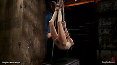 Blond hogtied and pulled in the air Thumb