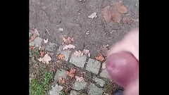 Flashing, cumshot, park, masturbation. Thumb