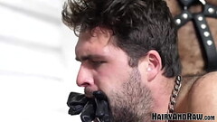 HAIRYANDRAW Bearded Steve Sommers Raw Breeds John Pucker Thumb