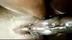 Creamy Doggy With Berks Thumb