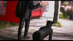 Master takes his pet dog for a walk in the City. P1 Thumb