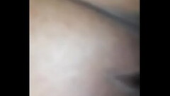 R&aacute_pido 1 Thumb
