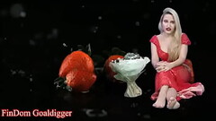 Russian roulette for paypig Thumb